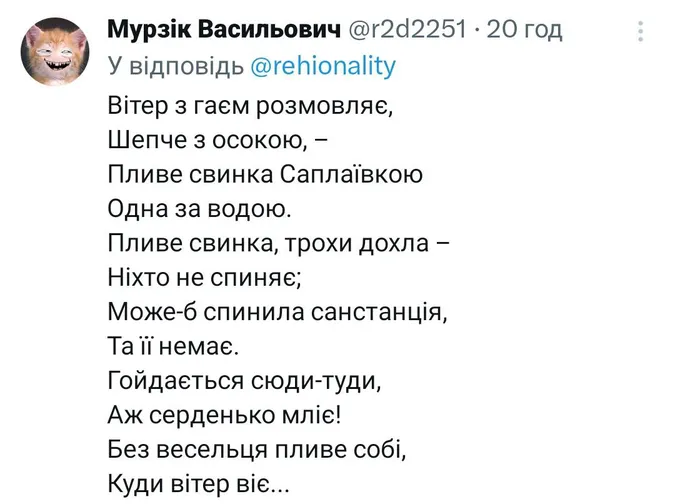 Дохла свиня у Луцьку розірвала інтернет