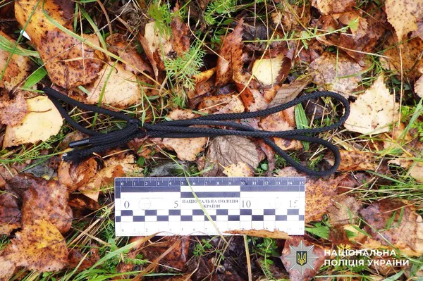 Смертельна ДТП і самогубство підлітка: поліція Рівненщини розслідує подвійну трагедію (фото)
