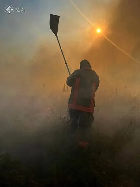 В автентичному поліському селі Сваловичі вирувала пожежа (фото)