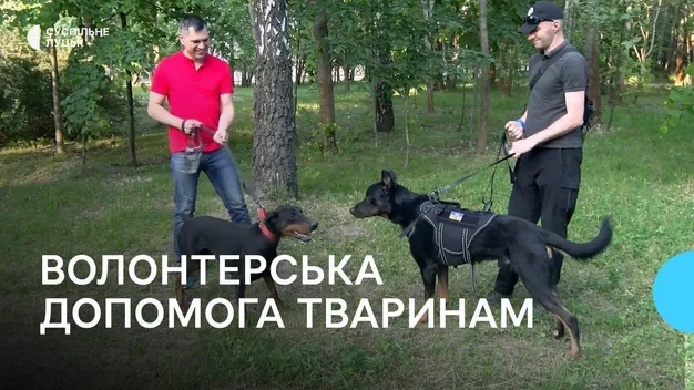 У Луцьку волонтери допомагають тваринам справлятись зі стресом під час війни (фото, відео)