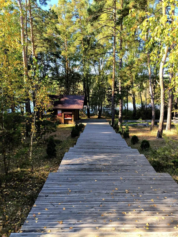 Особливо гарне восени: в лісі на Турійщині причаїлось глибоке озеро (фото)