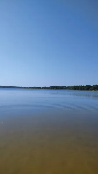 Неглибоке і тепле: де на Волині є озеро з чистою водою (фото)