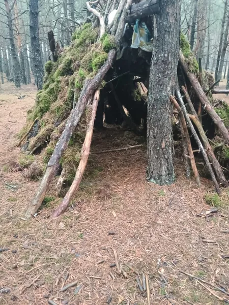У лісі на Волині виявили гори сміття (фото)