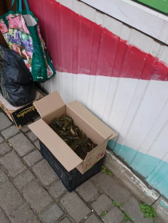 У Ковелі чоловіка засудили за продаж раків