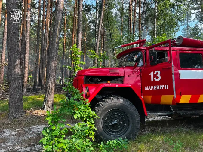Горіли суха трава, торфовища та лісова підстилка: на Волині за добу ліквідували 9 займань (фото)