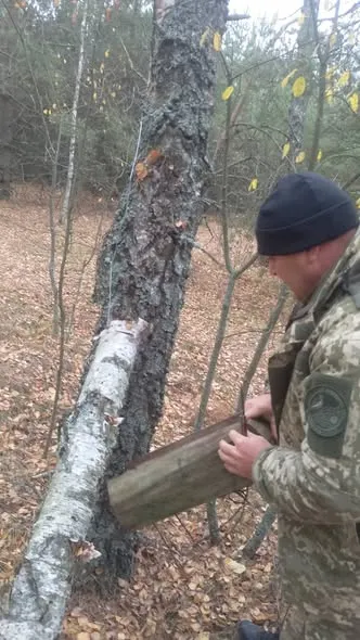 У нацпарку на Волині знайшли браконьєрські пастки на куницю (фото)