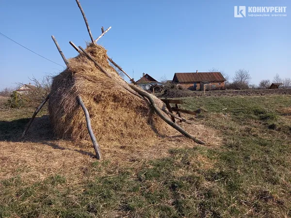 Неймовірно гарно, правда?