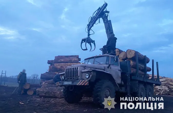 Незаконні рубки лісу та підробка документів: службовій особі волинського підприємства оголосили підозру