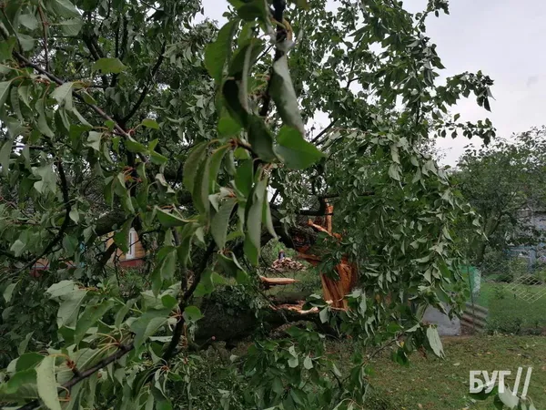 Зірвані покрівлі і повалені дерева: на Волині вирувала негода (фото)