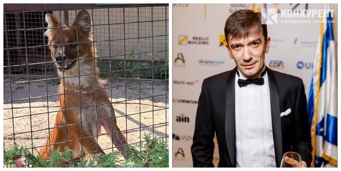 «Усиновив» вовка: відомий у 2000-х ексдіджей підтримав Луцький зоопарк