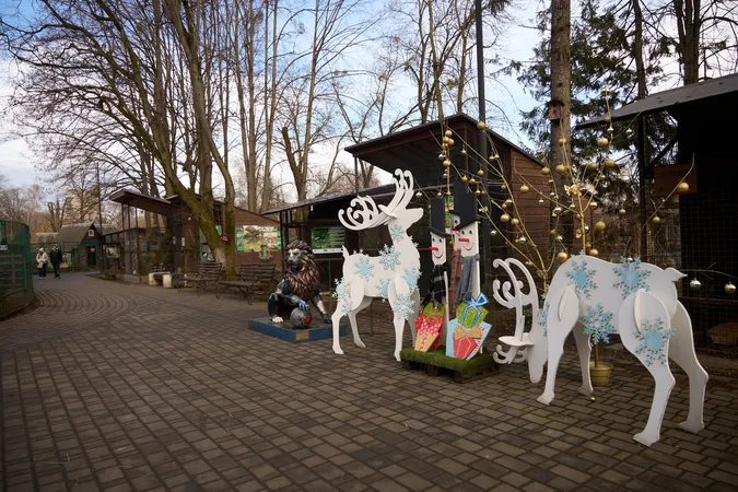 Яка зима – такі і фото: луцький зоопарк замилував новими світлинами