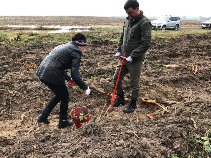 На Волині висадили понад гектар дубів (фото)