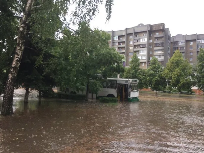 За маневри тролейбусів в Луцьку водії отримають премії 