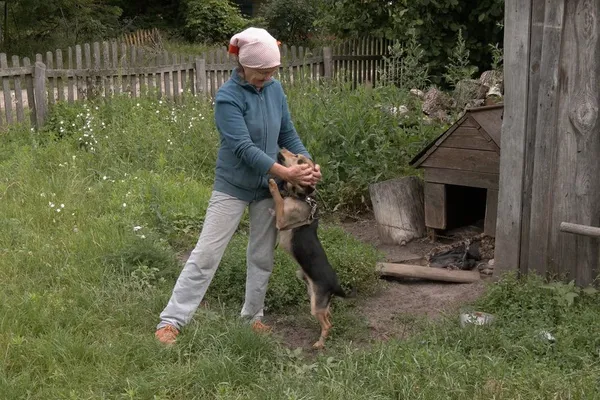 На Волині скажений кіт покусав жінку і двох дітей (фото, відео)