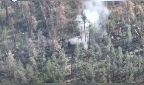 Волинські тероборонівці розбабахали ворожу «беху» (відео)