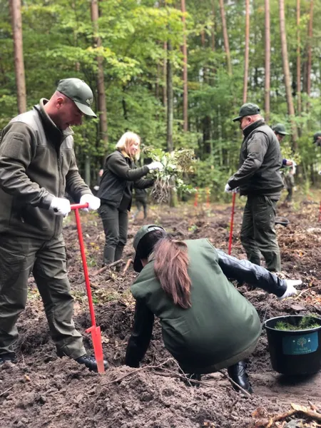 Мільйон дерев за добу: по всій Волині лісівники й волонтери долучилися до акції (фото)