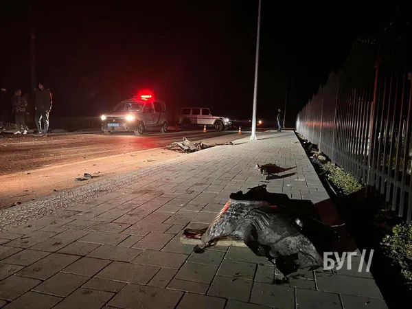 У Володимирі п’яний водій влетів у паркан і зніс опору (фото, відео)