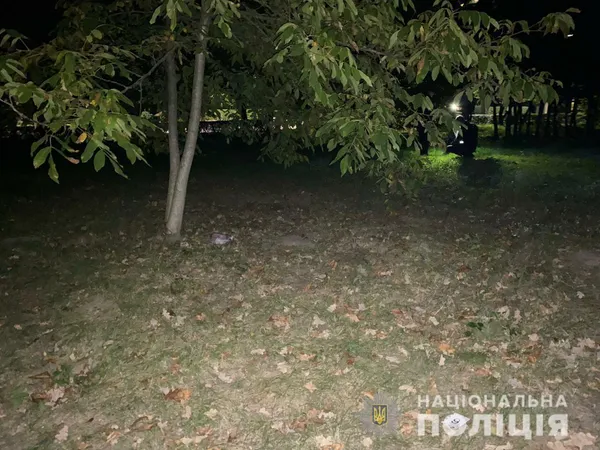 Зґвалтування у луцькому парку: нападника взяли під варту (фото, відео, оновлено)