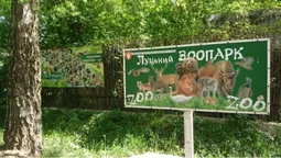 Як у Луцькому зоопарку живе нова зірка Браузер (відео)