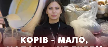 Корів стає дедалі менше: що коїться з домашньою молочкою на луцькому ринку (відео)