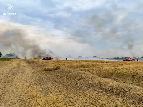 Пожежа стерні на Ковельщині: вогнеборці оперативно ліквідували загоряння (фото)