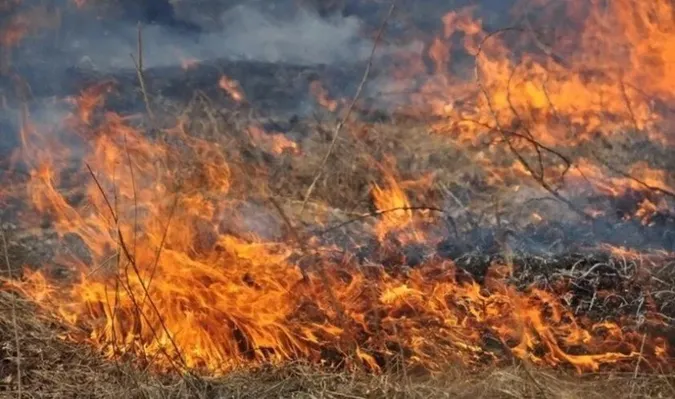 На Волині завершився пожежонебезпечний період: озвучили шокуючі суми збитків та штрафів