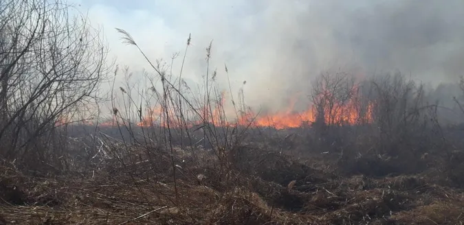 Безвідповідальність людей вражає: на Волині горіло понад два гектари сухої трави (фото)