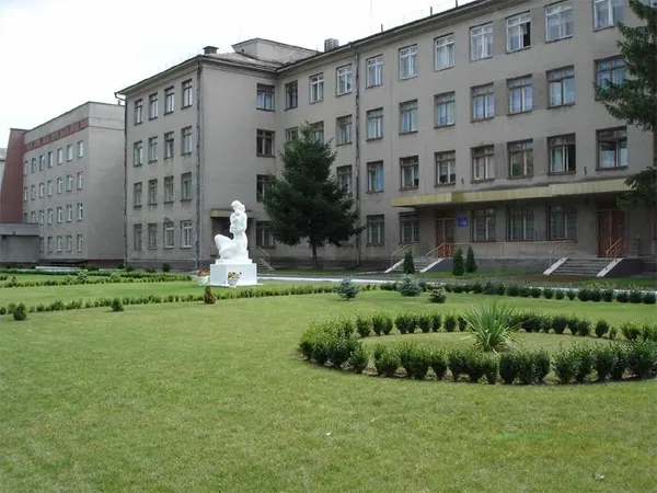 пологовий будинок