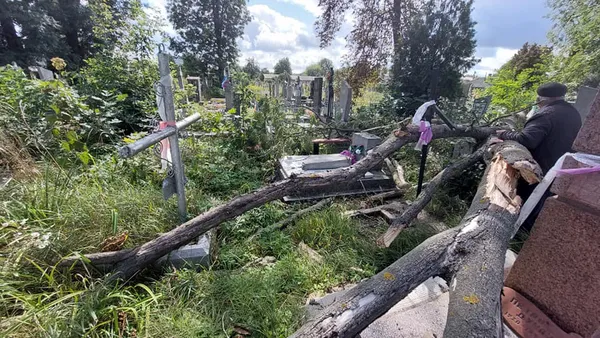 Зруйновані надгробки: у Володимирі сильний вітер повалив дерево на кладовиші (фото)