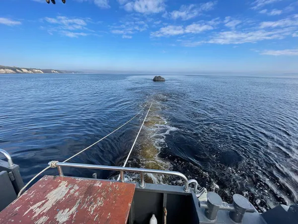 З Київського моря витягли збитий російський бойовий вертоліт (фото, відео)