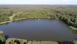 У лісах Полісся є загадкове озеро, воду якого буковинський мольфар називав цілющою (фото)