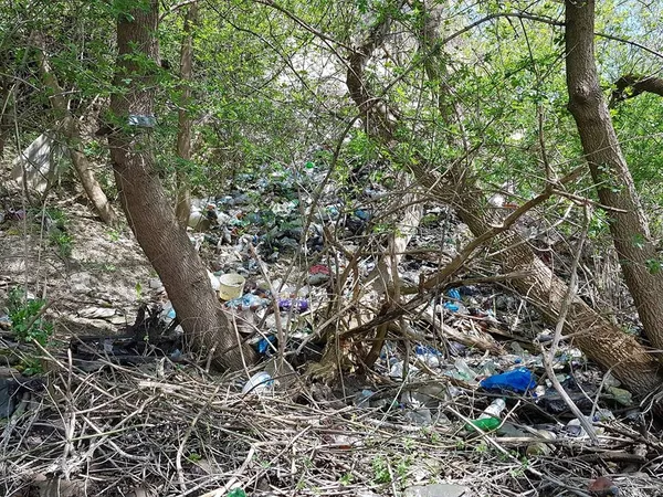 Жителі села біля Луцька викидають пакети зі сміттям у річку (фото)