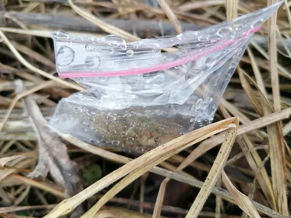 У луцькому парку знайшли близько 20 пакетів із марихуаною (фото)