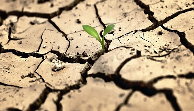 Цьогорічна посуха в Європі може стати найгіршою за 500 років