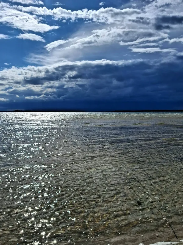 Світязь вразив незвичним видовищем: вода в озері стала схожою на рідке срібло (фото)