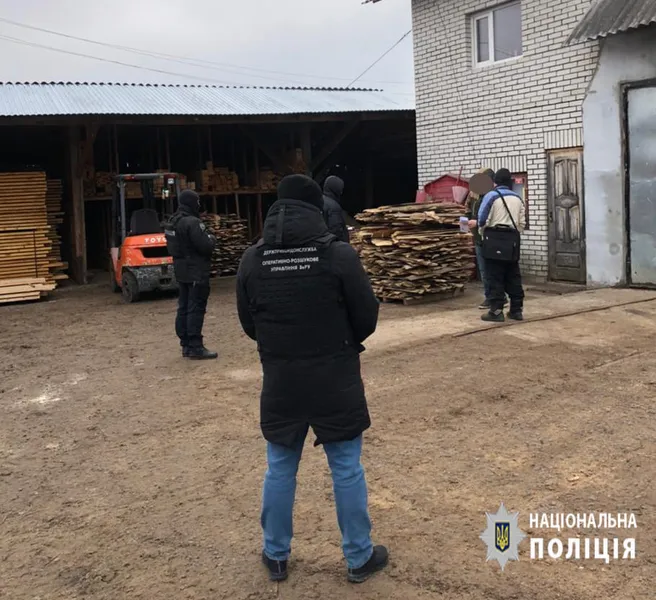 Деревина і бурштин: на волинських лісопильнях – масові обшуки (фото, відео)