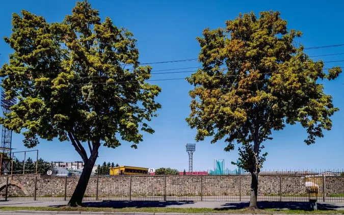 Фото: misto.media