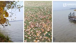 Який вигляд має Світязь у кінці жовтня (фото)