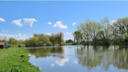 Весняний Луцьк: показали фото заквітчаного міста