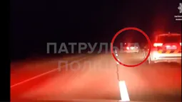 Злетів у кювет: у Ковелі п'яний водій влаштував перегони з патрульними  (відео)