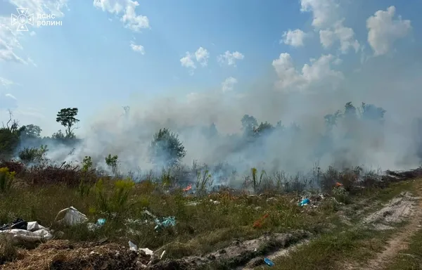 Пожежа в Копачівці: вогонь із сухостою перекинувся на господарську будівлю (фото)