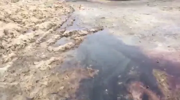 «Яка вода. Вона нікуди не виходить, тече в річку Турія», - Гузь