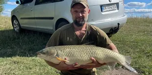 «Йомайо, це акула просто!»: на Рівненщині впіймали гігантського амура (фото, відео)
