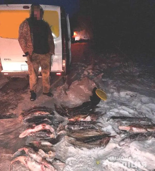На Рівненщині «спалили» волинян зі 100 кілограмами щуки (фото)