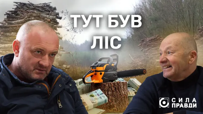Встигли вирубати дерева: на Волині 50 га лісу роздали у приватні руки, а потім повернули державі (фото)