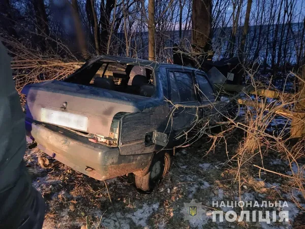 Водій був п'яним: на Волині авто злетіло в кювет і в'їхало в дерево (фото, відео)