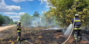 Вогонь охопив майже гектар: на Волині рятувальники ліквідували чотири пожежі сухостою (фото)