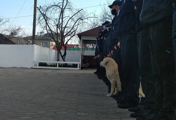 Головне у Луцьку: ТОП новин за вівторок, 20 квітня