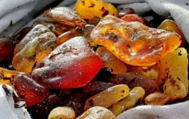 На кордоні з Польщею вилучили близько 20 кілограмів бурштину (відео)