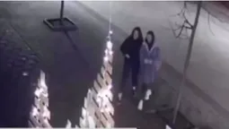 Відеокамери впіймали луцьких "ялинкових вандалок" (відео)